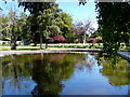 Round pond in Novar house gardens