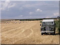 Harvest at Dymock