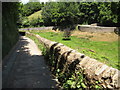 Country road near Stoke Fleming