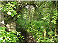 Footpath off Printworks Road