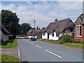 Thatched Cottages