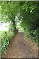 Footpath to the left of  Maple Hayes Entrance