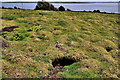 J5985 : Rabbit burrows, Lighthouse Island by Albert Bridge