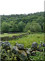 Valley scene near Holymoorside