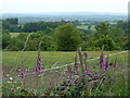 Countryside view from High Lane