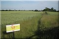 Footpath southeast from Landimore Road