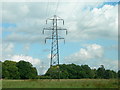 Pylons near Pound Hill