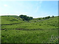 Farmland off Tarns Lane