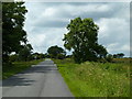 Alicehead Road approaching lane junction with Cullumbell Lane