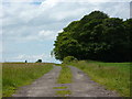 Track to Lathom Road