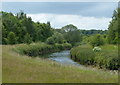 SK4581 : River Rother in the country park by Andrew Hill