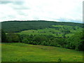 Farmland, Ripley Bank