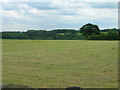 Farmland, Raventofts Head