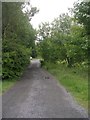 Footpath - Edgemoor Close