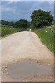 Puddle, Cardlemere Lane