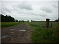 The way to Crabtree Farm, near Escrick