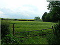 Field entrance off Roman Road