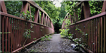 J2866 : Footbridge, Ballyskeagh by Albert Bridge
