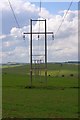 SK2160 : Electricity Transmission Poles, Elton Common by Mick Garratt