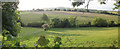 View north from beside the Lord Haldon Hotel