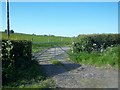 Bridleway meets road