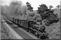 Up Class C freight approaching Kings Sutton