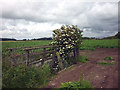 Footbridge over Pilling Water