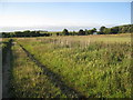 View towards Audelby