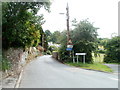 Llangenny Lane, Crickhowell