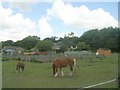 Equestrian Centre - off Greenfield Lane