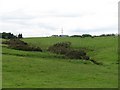 Burn running to the Blackbog Glen