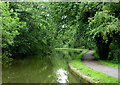 Trent and Mersey Canal near Trentham, Stoke-on-Trent