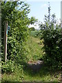 TM2964 : Footpath to the B1120 Badingham Road by Geographer