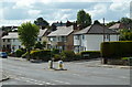 Houses along Newbold Road