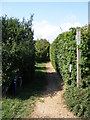 Footpath to Brook Lane