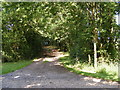 Bridleway to Lampard Brook