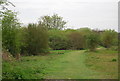 Sussex Ouse Valley Way, Railway Land LNR