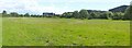 Disused football pitches