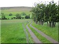 Farm track on the east flank of Mynydd Troed