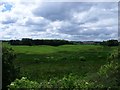 Bonnyside, wetland