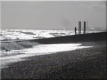 TQ3003 : Brighton: a woman surveys the waves by Chris Downer