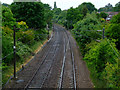 Railway line at Stansted Mountfitchet