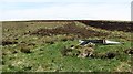 NT6356 : Butt, Dunside Hill by Richard Webb