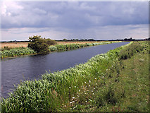 TA0852 : The Lower Section of the Driffield Canal by Andy Beecroft