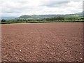 Freshly ploughed field near Trefecca