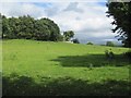 Pasture land, Boughrood