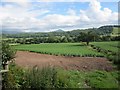 Potato crops, Boughrood Brest