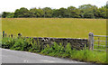 Bridge near Crawfordsburn