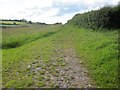 Bridleway west of Trefecca