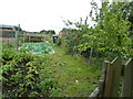 Allotments by Cemetery on Glazier